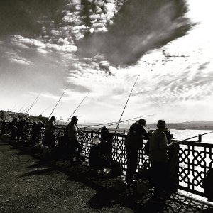 Galatabridge / Fisher